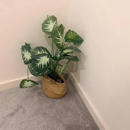 Contractor Friendly 2br Weekly, Monthly Apartamento
